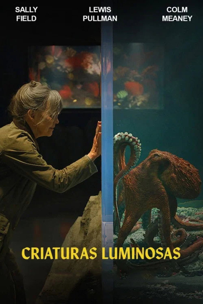 Póster la Película