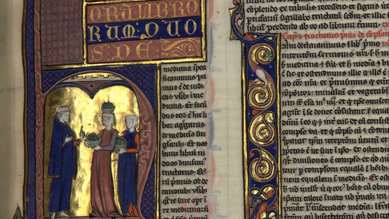 Gallery image from jPvG9QZg6ORVVAuqzqYUOGSnb04.jpg