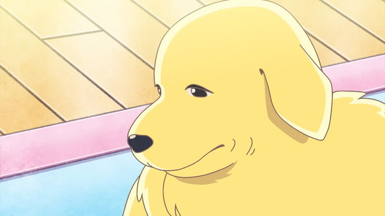 Still image for Mamekichi Mameko – The Daily Life of a NEET season 1 episode 2: Episode 2 Still image for Mamekichi Mameko – The Daily Life of a NEET season 1 episode 2: Episode 2