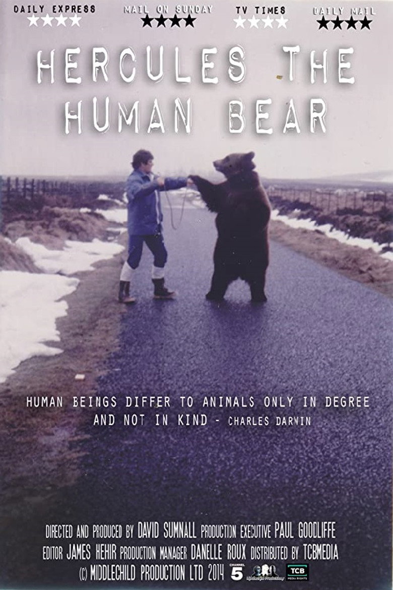 Hercules the Human Bear background