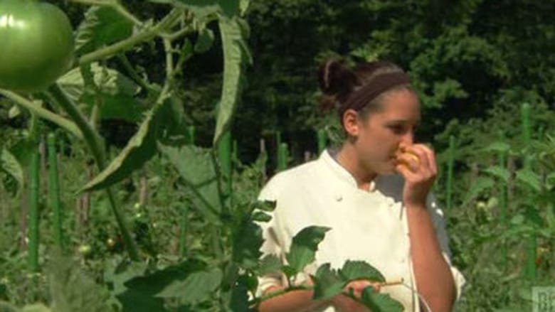 Top Chef Season 5 Episode 8