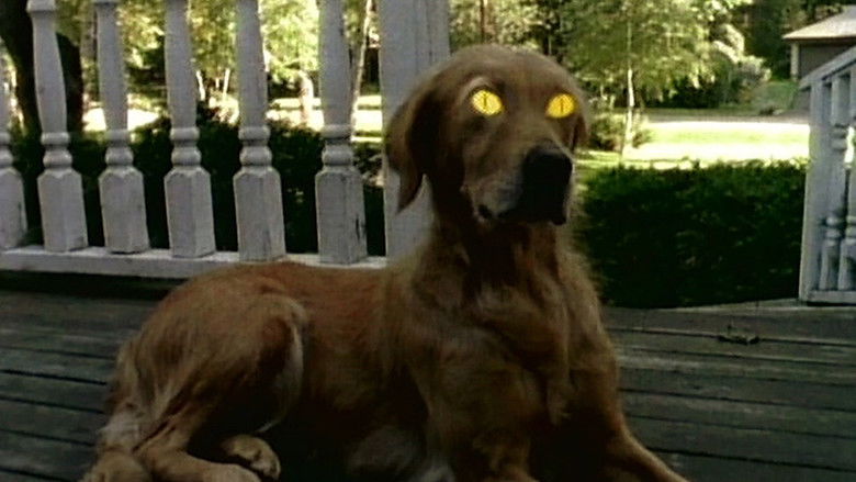 Gallery image from jRcQSKdizJ2GAYxrP0XNFTiaJ0X.jpg