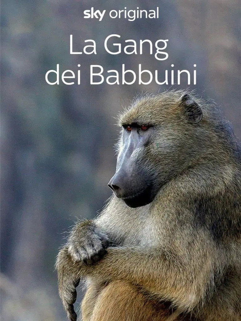 Official poster for Gangs of Baboon Falls
