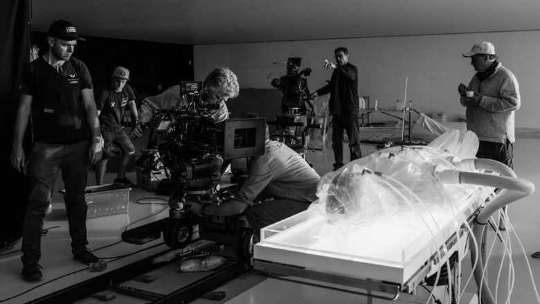 Gallery image from jRshTYnWvmjKKBpGMN69pPuDIBI.jpg