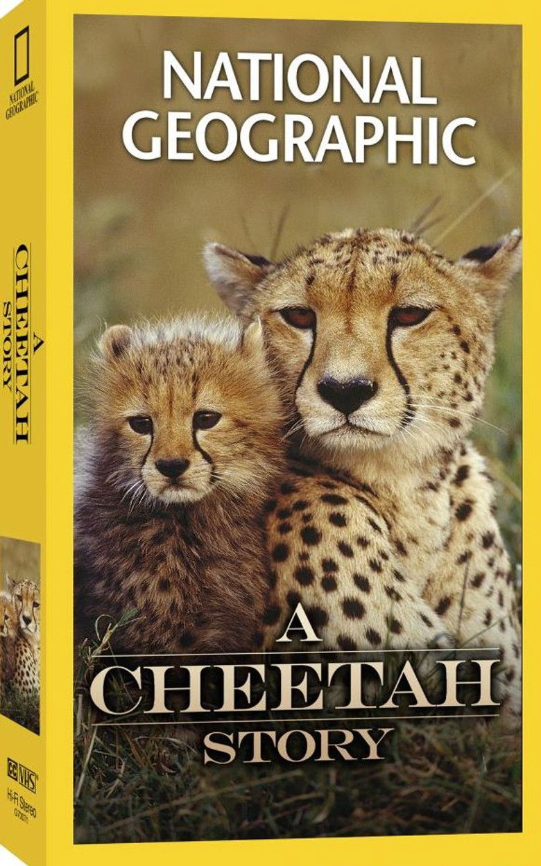 Imatge de Cheetah Story