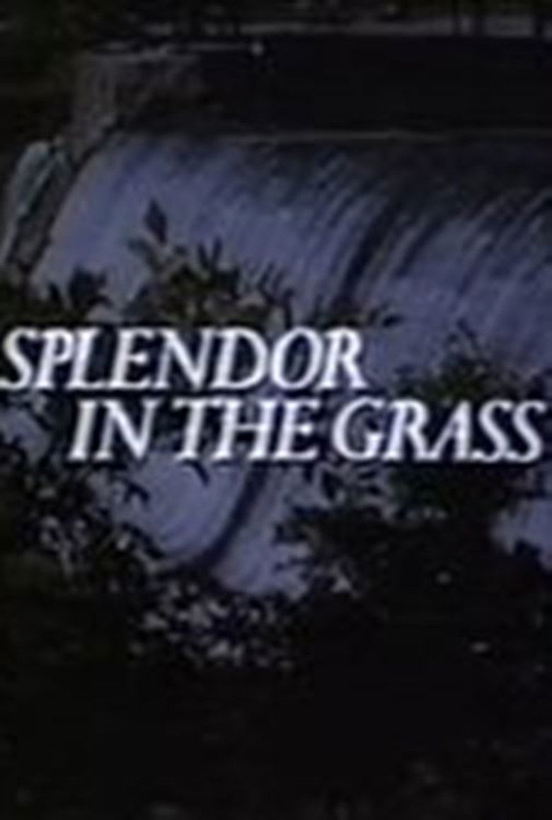 Imatge de Splendor in the Grass