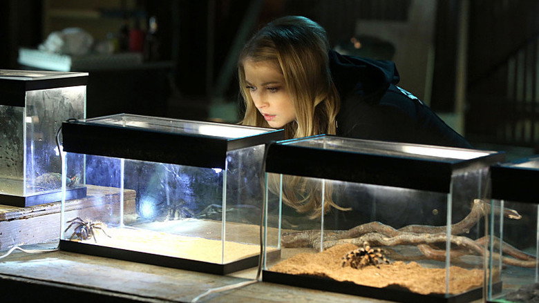 Still from CSI: Crime Scene Investigation - Season 15 Episode 17