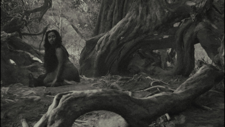 Still from The Lost Calf