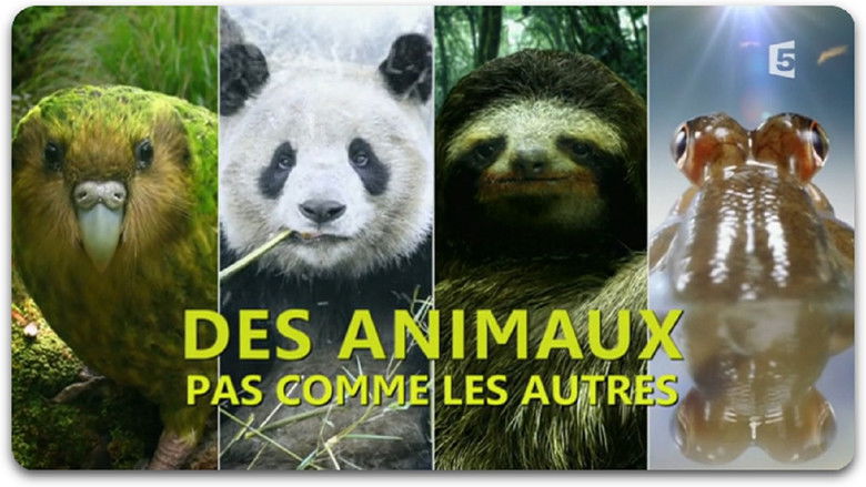 Des animaux pas comme les autres movie poster