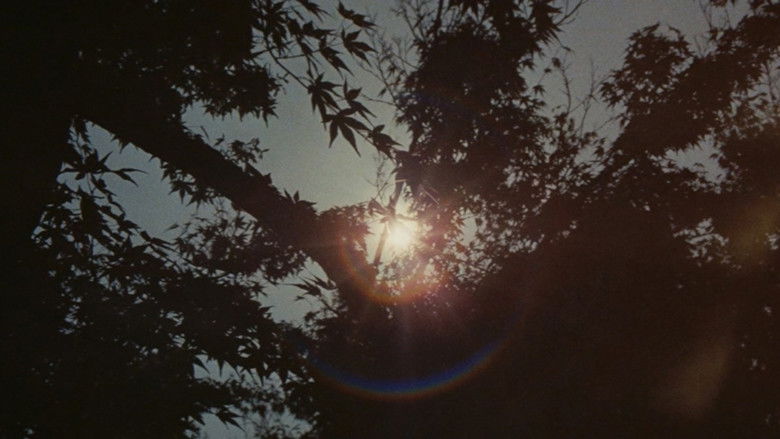 Gallery image from jTOLFhyQWyhg9TY0gS0oRmGmFUd.jpg