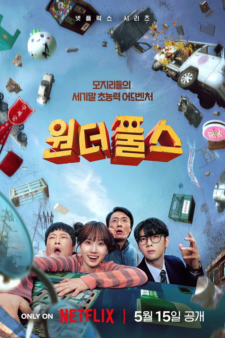 The WONDERfools poster