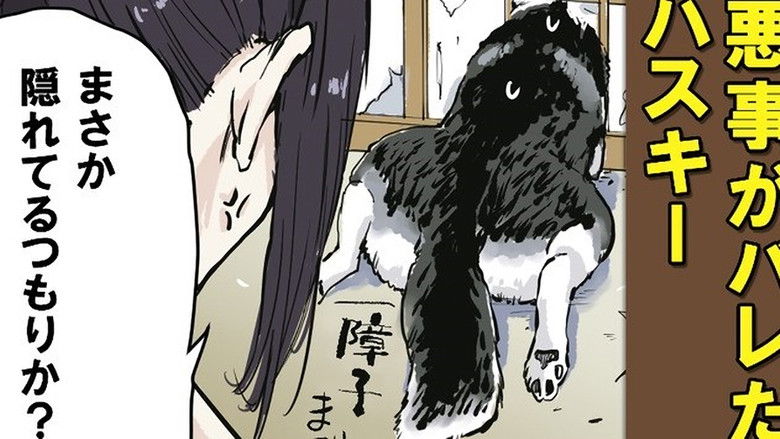 Still image for Doomsday with My Dog season 1 episode 49: Ye Olde Master and the Monkey (Normal? Ver.) / Ye Olde Master and the Monkey (Shiba Inu Version) / Ye Olde Master and the Husky / Ye Olde Master and the Cat Still image for Doomsday with My Dog season 1 episode 49: Ye Olde Master and the Monkey (Normal? Ver.) / Ye Olde Master and the Monkey (Shiba Inu Version) / Ye Olde Master and the Husky / Ye Olde Master and the Cat