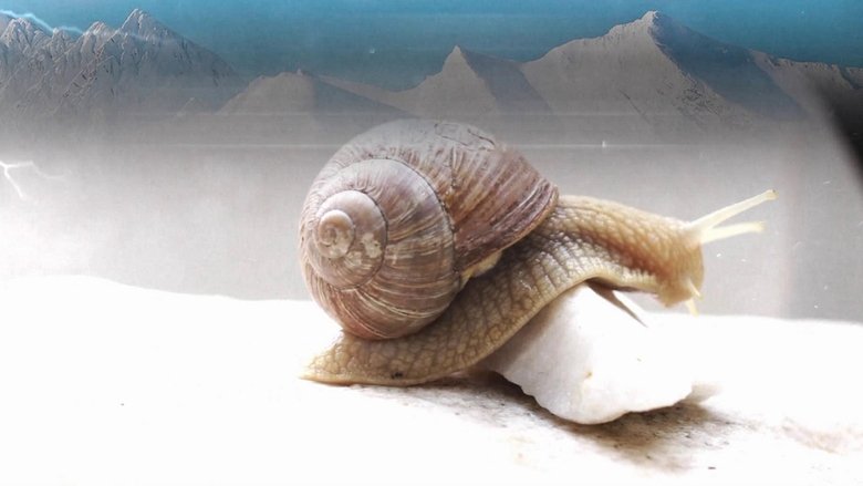 Gallery image from jVgGdGRoVdGVxXQmObhzNideneQ.jpg