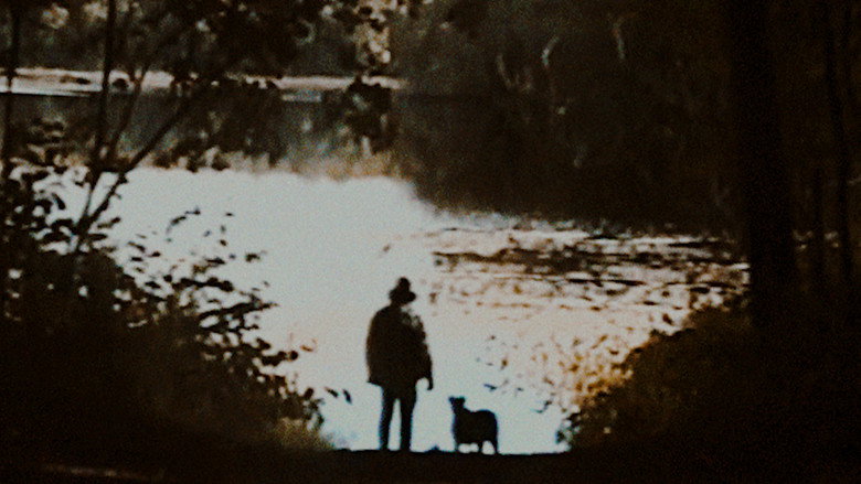 Frame from Bonkey: The Mutated