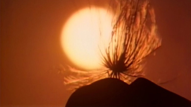 Still from Cosmos: A Personal Voyage - ซีซัน 1 ตอน 13