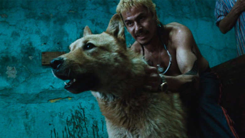 Amores Perros backdrop 40