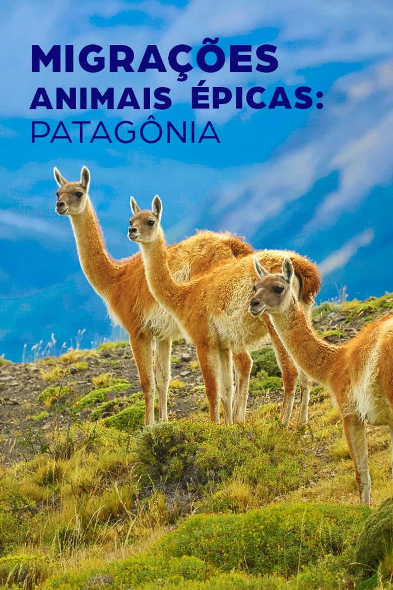 Imatge de Epic Animal Migrations: Patagonia