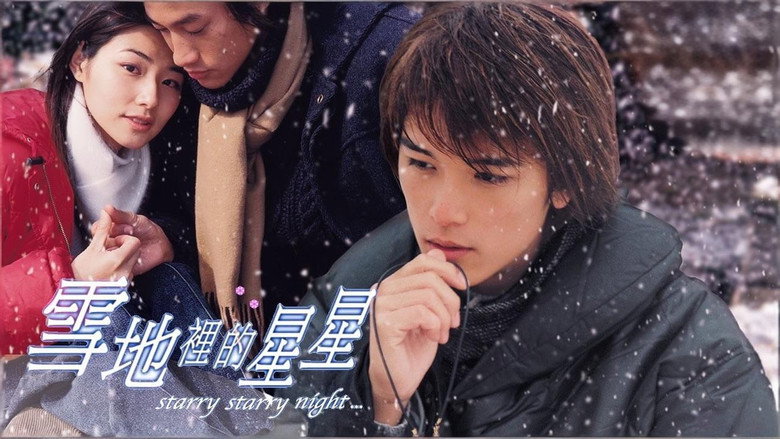 雪地里的星星 image 1