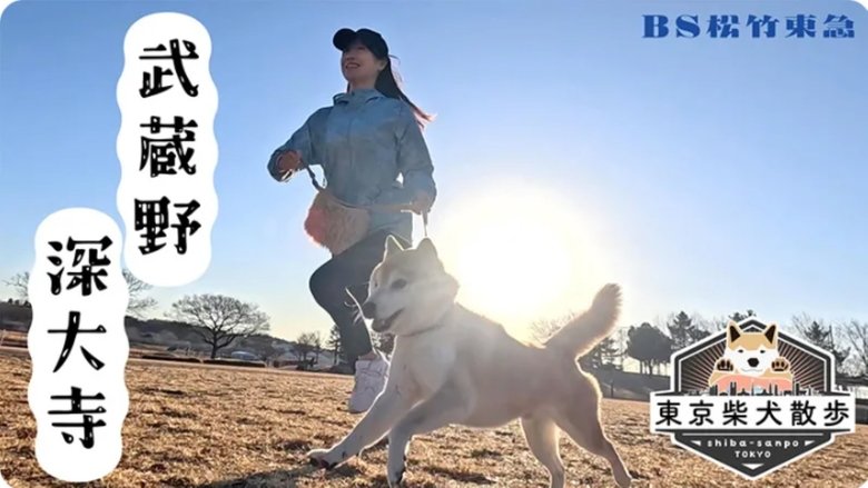 Still image for 東京柴犬散歩 season 1 episode 6: Episode 6