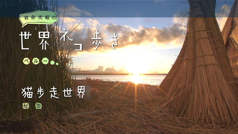 Still image for Mitsuaki Iwago's World “Cats” Travelogue season 1 episode 37: Peru Still image for Mitsuaki Iwago's World “Cats” Travelogue season 1 episode 37: Peru