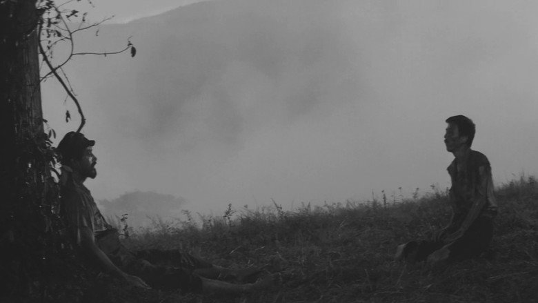 Image d'arrière-plan 9 du film Feux dans la plaine