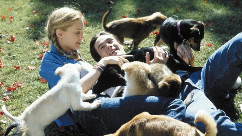 Imatge de Say It Isn't So