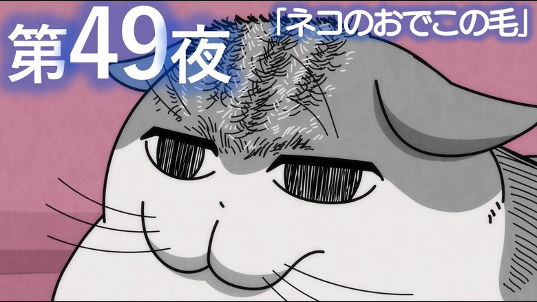 Still image for Nights with a Cat season 1 episode 49: Night 49: The Fur on a Cat's Forehead