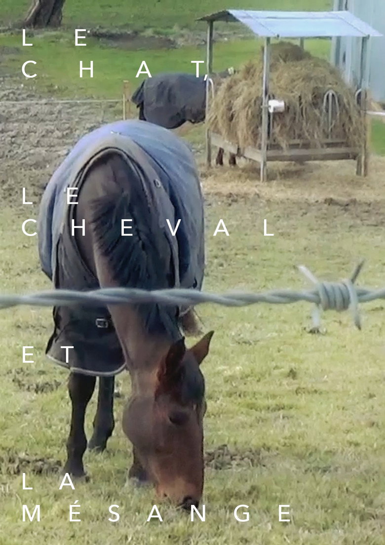 Imatge de Le chat, le cheval et la mésange