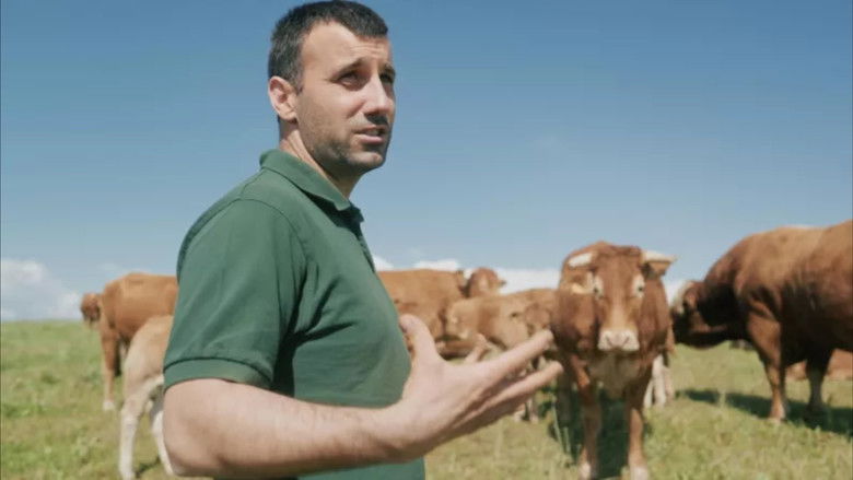 Imatge de Monde agricole : la fracture de l’eau