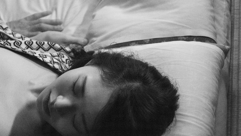 The Stars and the Moon are Holes in the Sky (2025)