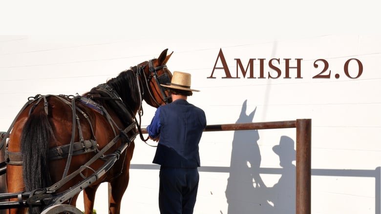 Amish 2.0 movie poster