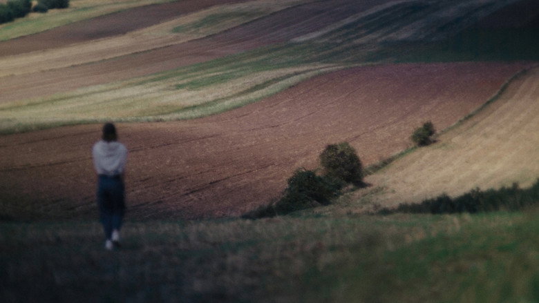 Imatge de A teraz wiosna