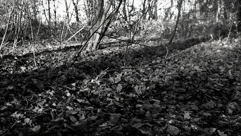 Gallery image from jcpp3f8dKK5oho0Y5bs1FIeISJF.jpg