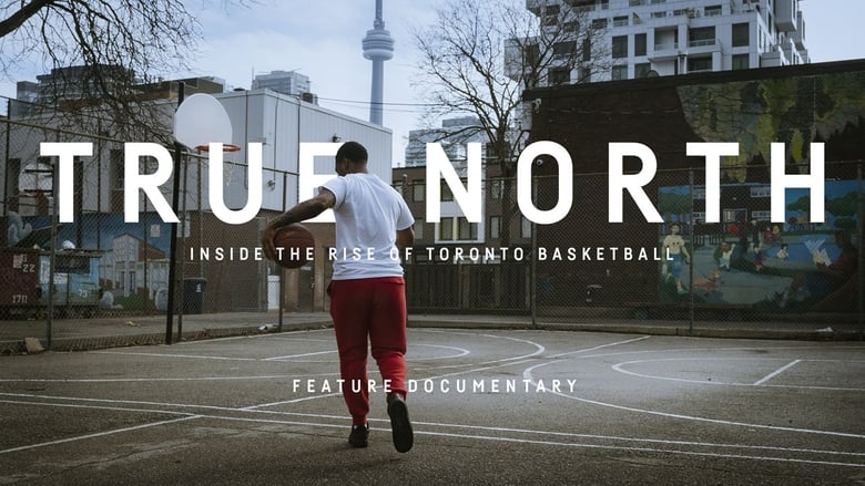 True North: Inside the Rise of Toronto Basketball movie poster