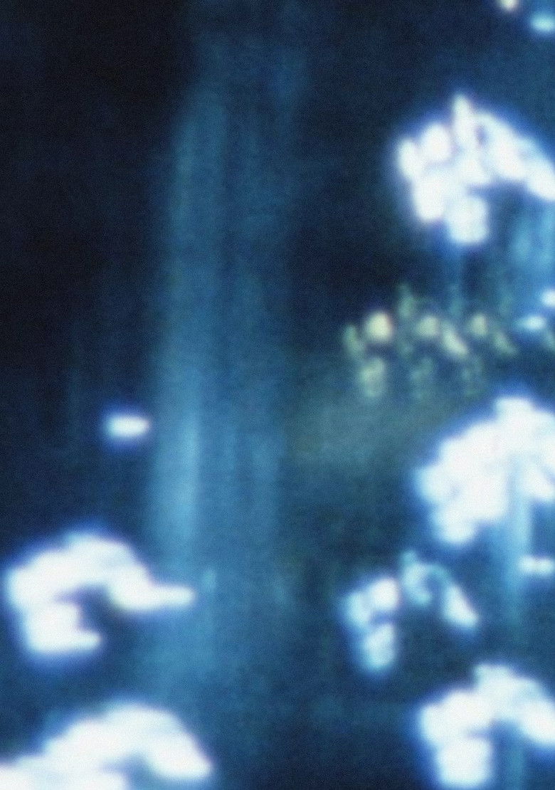 Imatge de Rhythm Trail