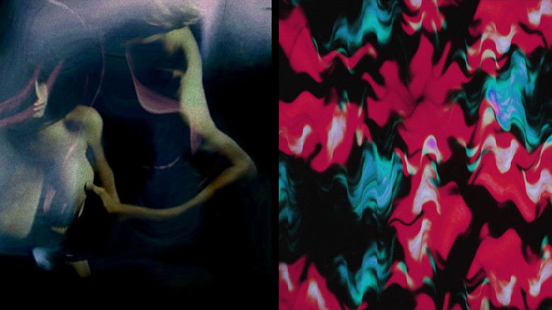 Gallery image from jdawmZhNyudwJgEfdpXA2GiYyZu.jpg