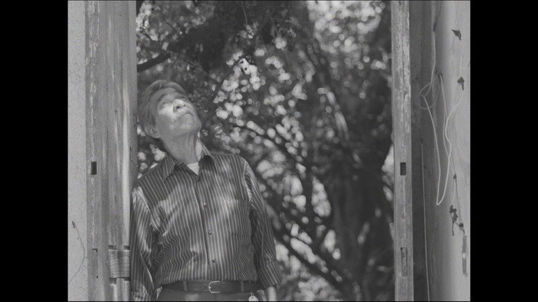 Imatge de The time for the past