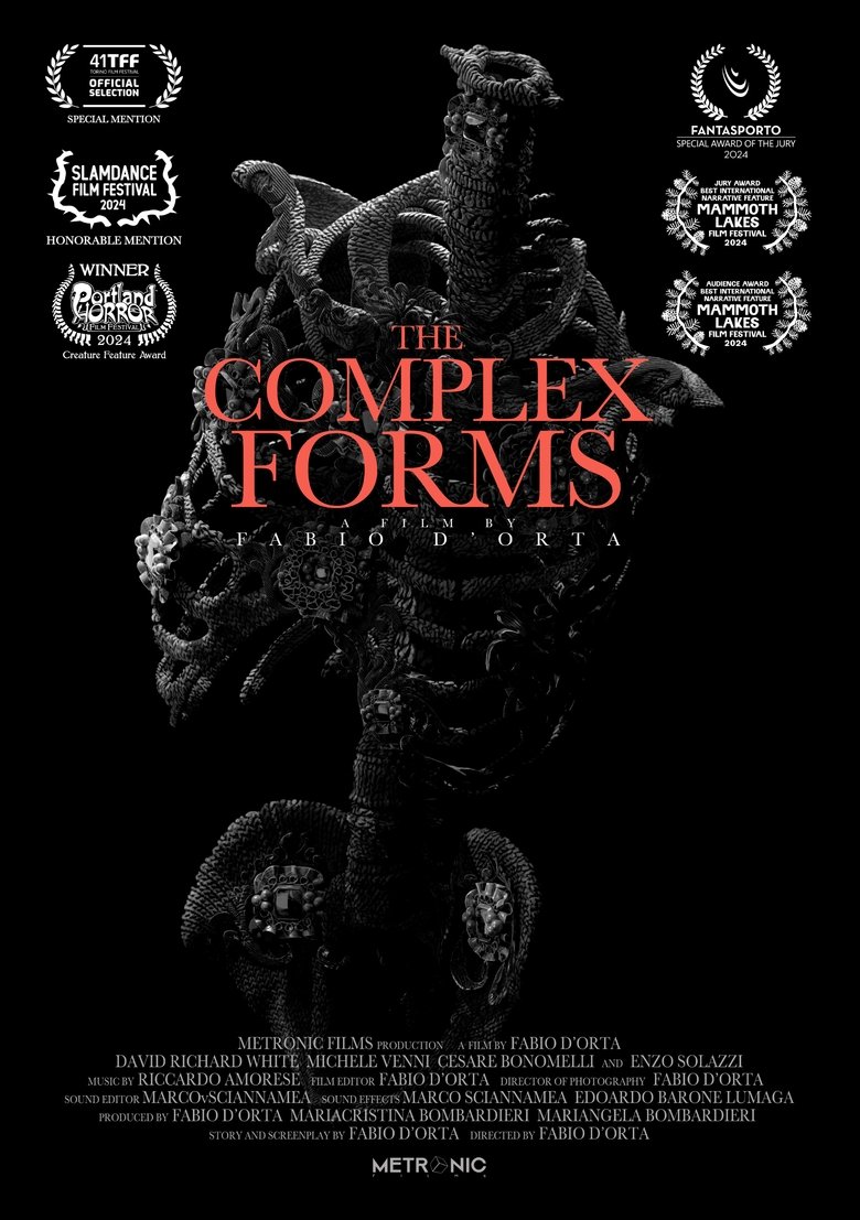 The Complex Forms main poster
