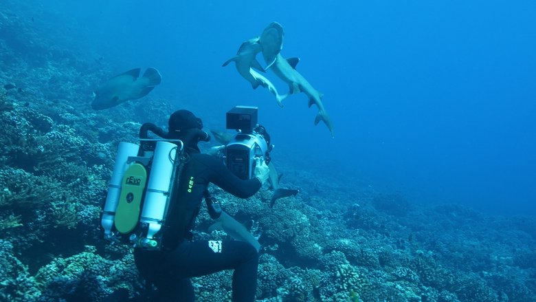 Still image for Deadly Islands season 1 episode 1: Killer Whale Island Still image for Deadly Islands season 1 episode 1: Killer Whale Island