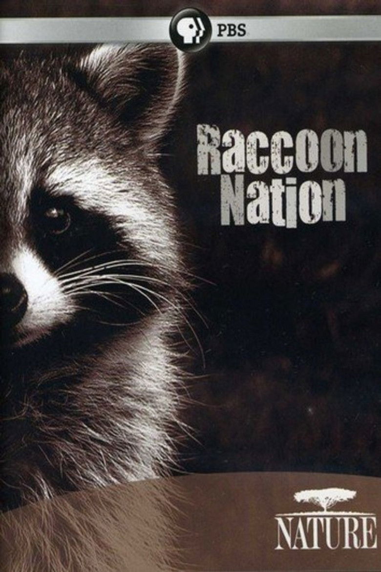 Imatge de Raccoon Nation