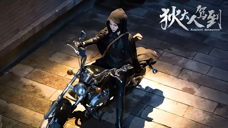 Image d'arrière-plan 2 du film 狄大人驾到