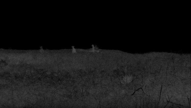 Gallery image from jhl0dGXKTNiTDT4UVqNJY10afA1.jpg