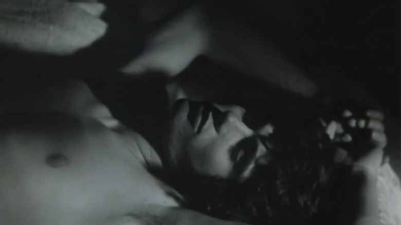 Gallery image from jjglfydWJfJc9vzNAZMOHutr6PI.jpg