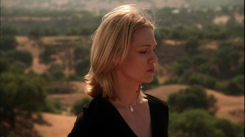 Image d'arrière-plan 2 du film The Last Cowboy