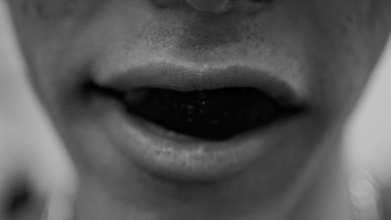 Imatge de The Fighter