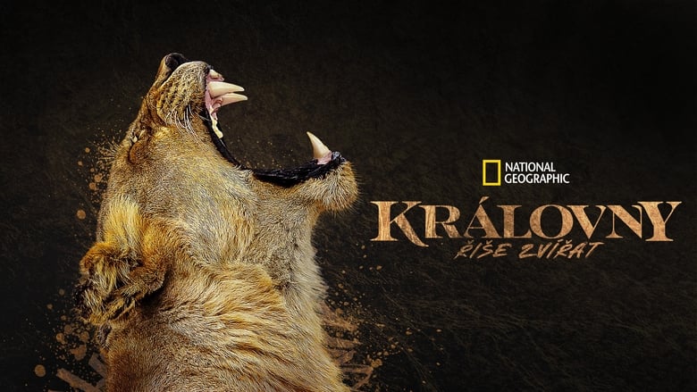 Gallery image from jkGfEb0C156ndNPrBqzpDTPlEdC.jpg