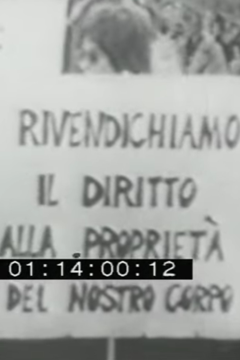 Imatge de La lotta non è finita