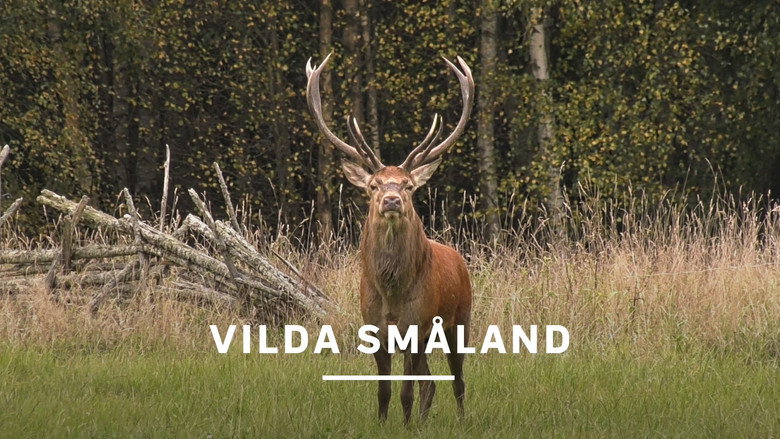 Småland - Sweden's Wild South Screenshot 2