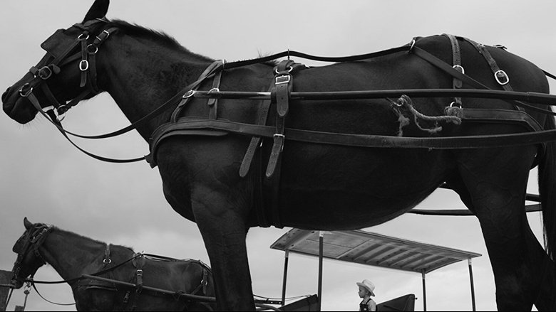 Gallery image from jl2Dk5FOUOMgmGONpab01QpYN4d.jpg