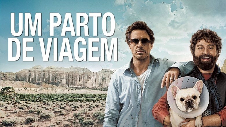 Gallery image from jlDQKtYY5skZ1nz4PbVuzXHqFlq.jpg